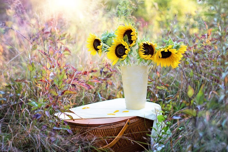 Upcycled planters